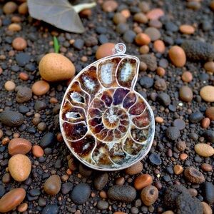 Stunning Vintage 925 Sterling Silver and Brown Ammonite Pendant